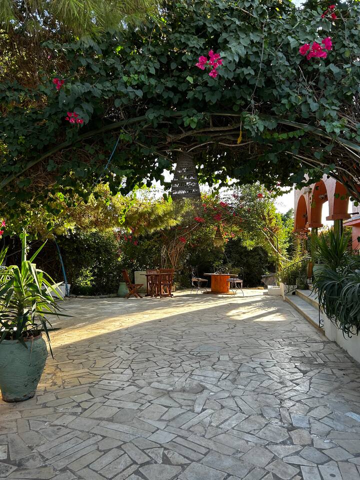 Green House Tunis - Photo 2