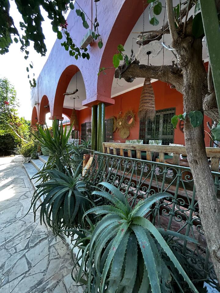 Green House Tunis - Photo 5